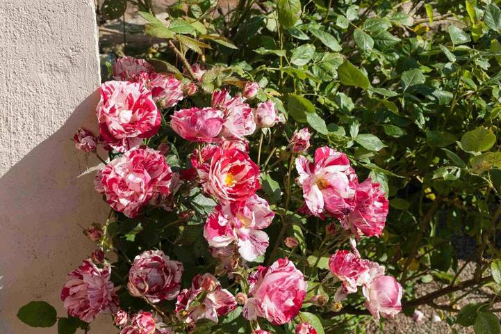 Gîte pour 2 personnes, avec terrasse ainsi que piscine et jacuzzi, animaux acceptés à Mantilly - 3