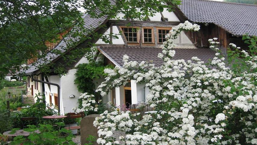 Ferienhaus für 4 Personen, mit Garten in Markgraeflerland - 3