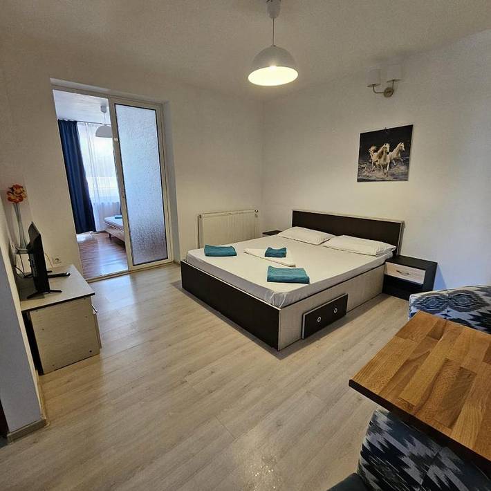 Maison d’hôte pour 4 personnes, avec jardin, animaux acceptés dans Constanța - 3