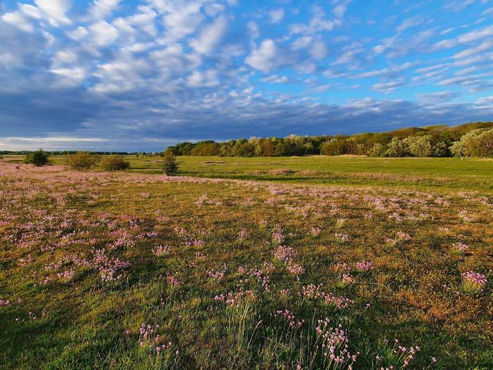 Maison de vacances pour 10 a Dragør in Amager, Dragør