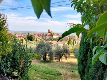 Appartamento per 4 Persone in Sinalunga, Chianti, Foto 4