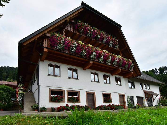 Ferienwohnung mit 2 Schlafzimmer in Oppenau, Renchtal