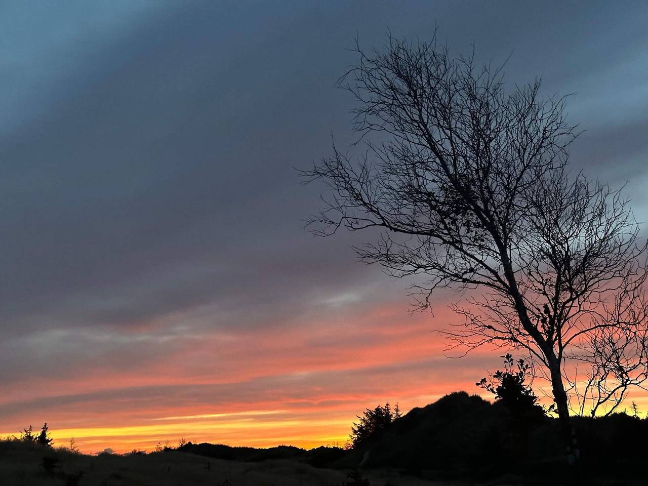 Luxus-Ruckzug mit Pool in Blavand, Varde
