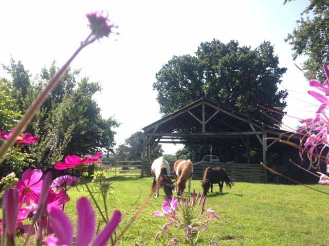 Location de vacances pour 4 personnes, avec jardin à Plessé - 4
