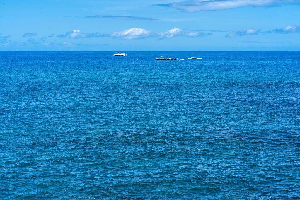 Ganze Wohnung, Hale Kona Kai 213 - Absolute Oceanfront Condo in Town - Big Wrap Around Lanai in Aloha Kona, Kailua-Kona