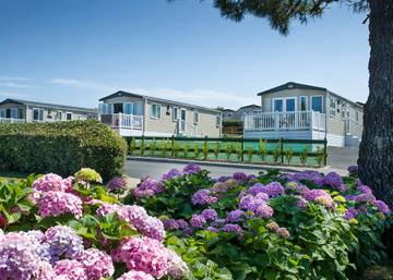 Camping für 6 Personen in Cornwall