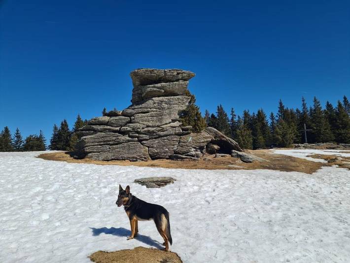 Ferienwohnung für 8 Personen, mit Ausblick und Garten in der Oststeiermark - 4