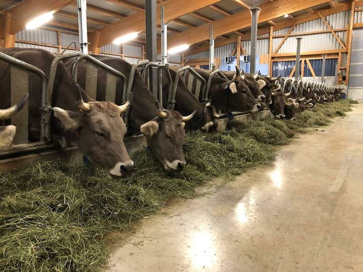 Ferienwohnung in Gross mit Schwimmbecken in Einsiedeln, Kanton Schwyz