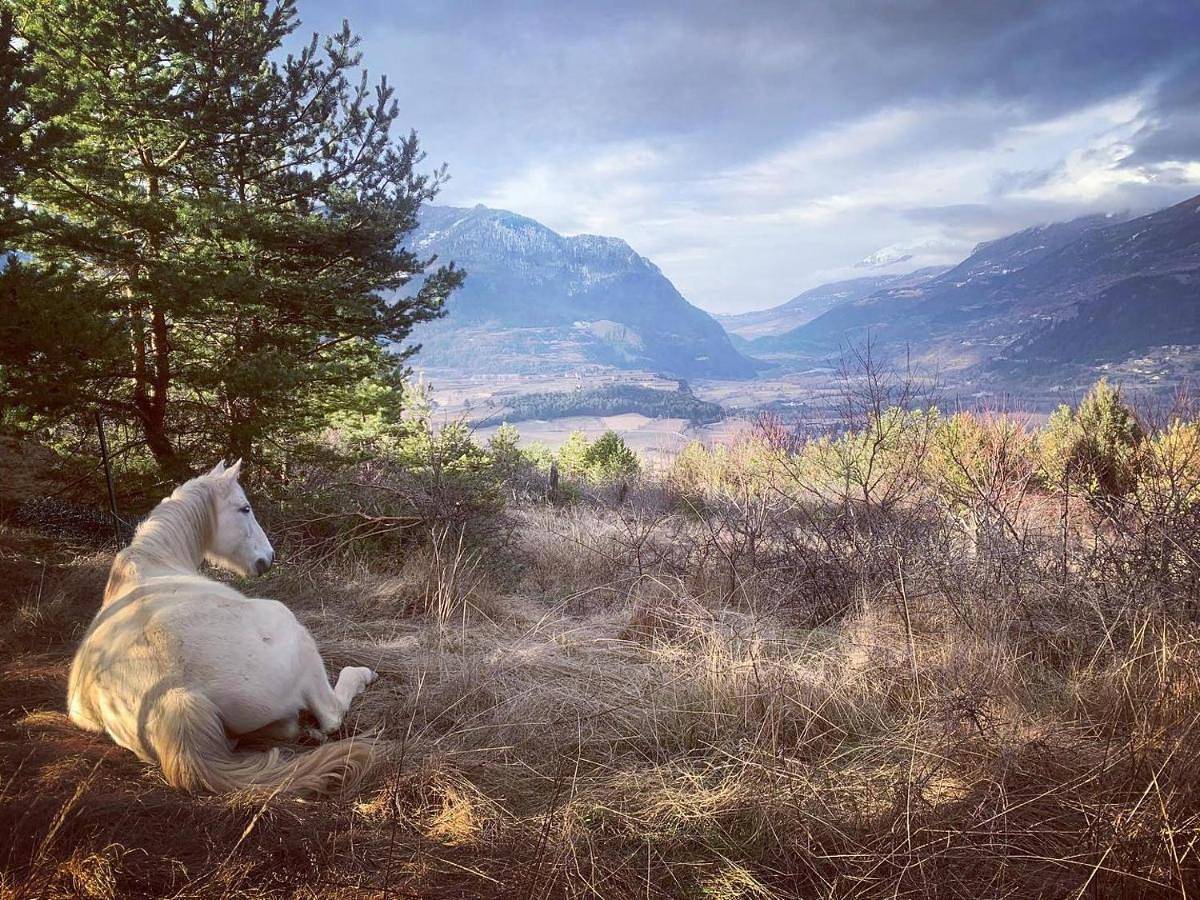 Grande yourte au coeur des Alpes in Eygliers, Parc national des Écrins