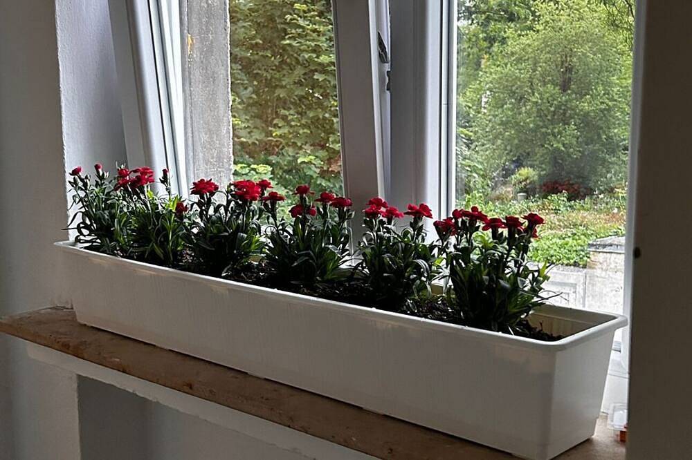 Ganze Wohnung, Ferienwohnung Detmold in Heiligenkirchen, Detmold