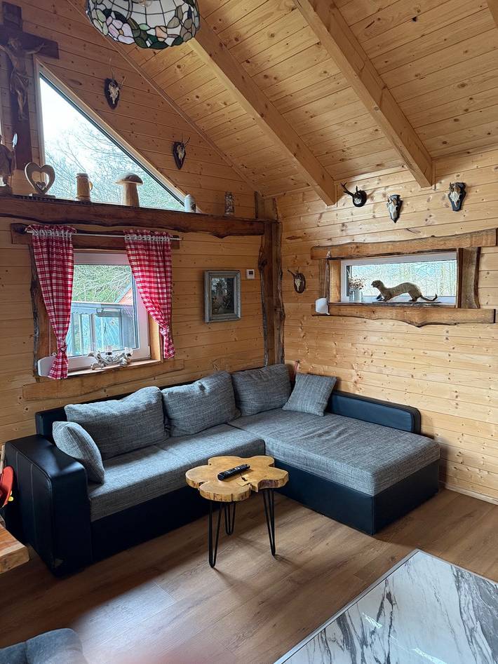 Ferienhaus für 8 Personen, mit Terrasse und Garten im Ostharz - 4