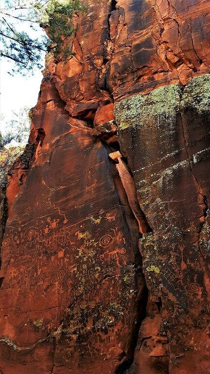 Maison d’hôte pour 6 personnes dans Arizona - 4