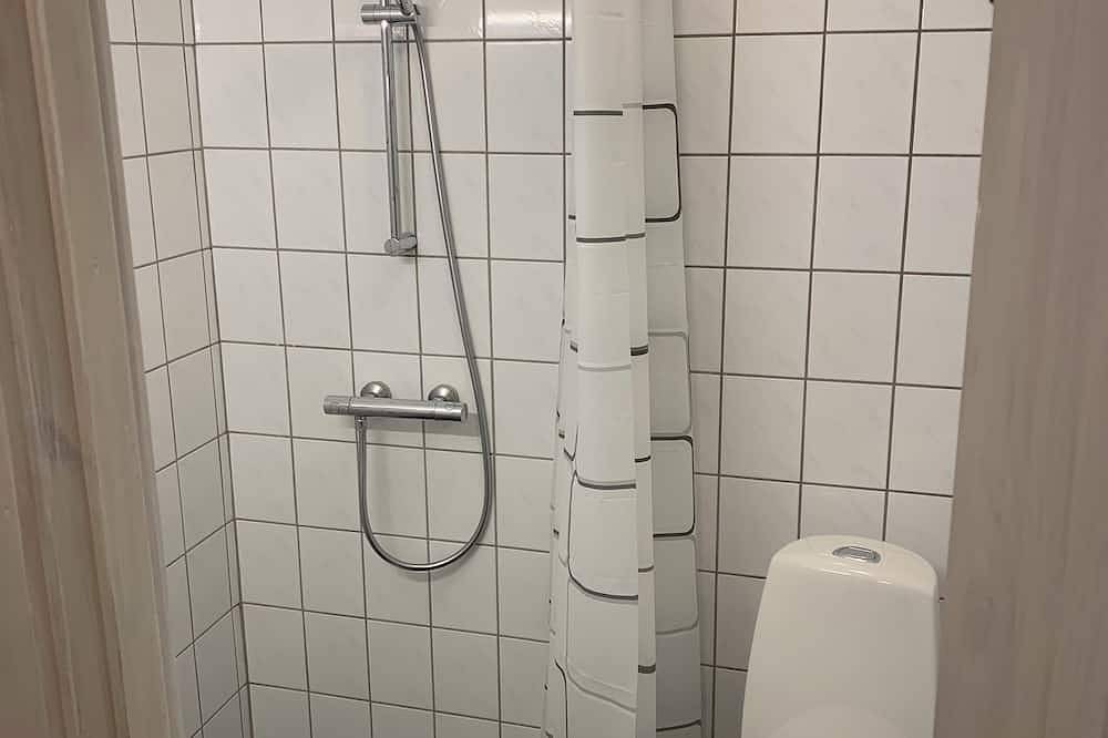 Geheel appartement, H C Andersen city apartment. Odense city in Odense, Odense en omgeving