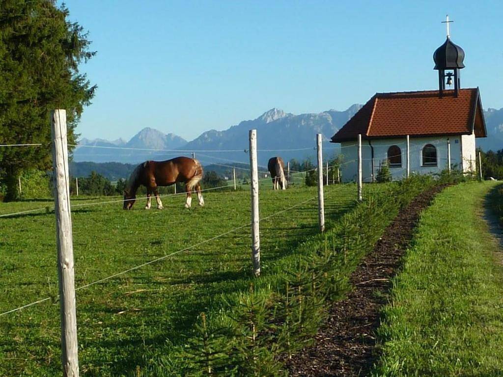 Mountains Castles Lakes Comfortable holiday residence in Lengenwang, Bayerisch Schwaben