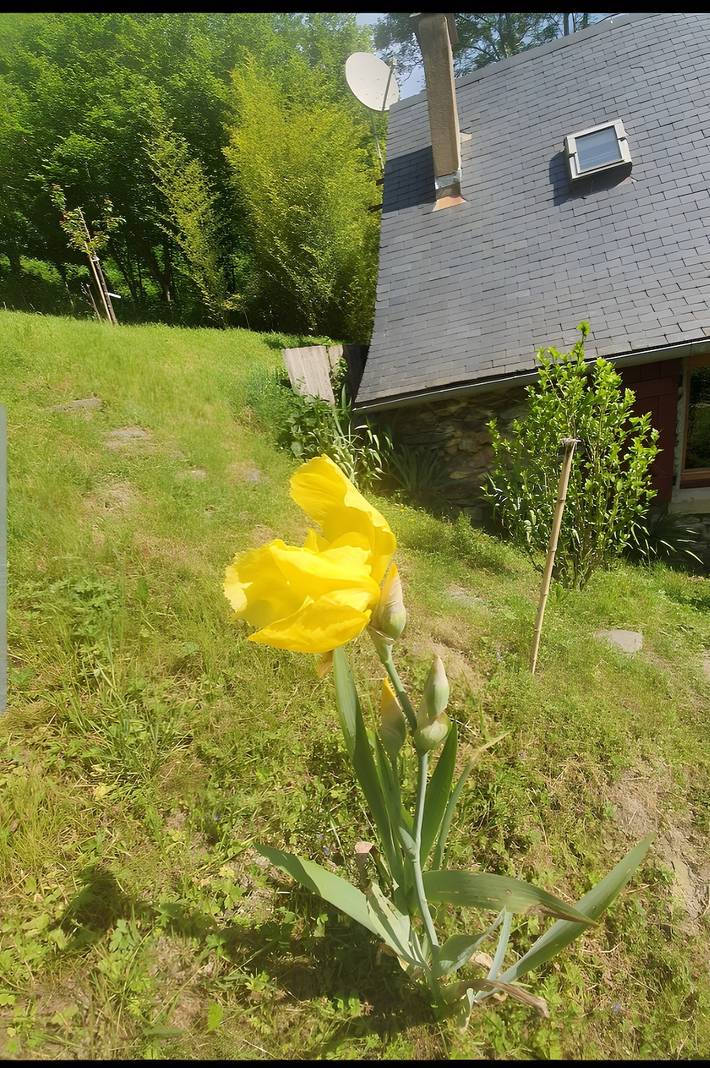 Location de vacances pour 6 personnes, avec jardin, animaux acceptés dans Parc naturel régional des Pyrénées ariégeoises - 3