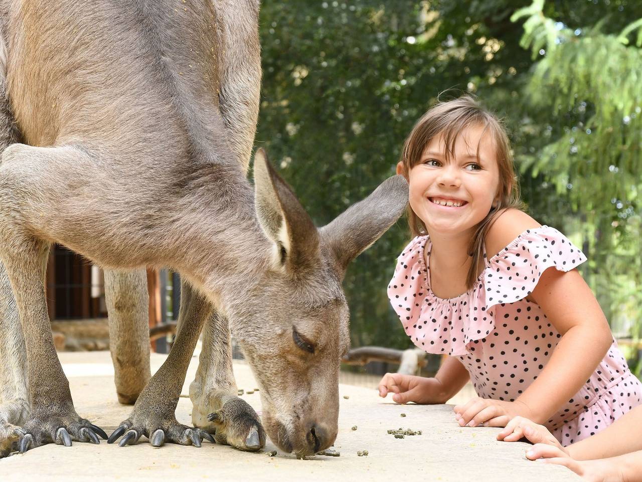 Ganze Ferienwohnung, Naturschutz-Tierpark Görlitz, Ferienwohnung Pandahöhle - Urlaub im Zoo: Pandahöhle in Görlitz, Oberlausitz-Niederschlesien