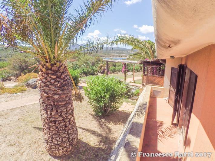 Ferienhaus für 8 Personen, mit Balkon und Garten in Palau (Sardinien) - 2