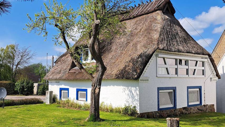 Ferienhaus für 8 Personen, mit Garten, mit Haustier - 1