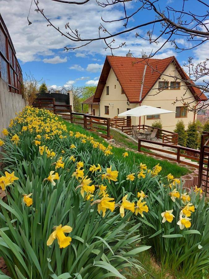 Appartement de vacances pour 10 personnes, avec vue ainsi que balcon et jardin