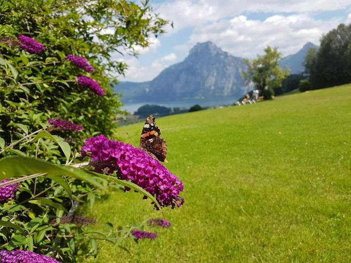 Ferienwohnung für 8 Personen, mit Ausblick und Garten sowie Seeblick am Traunsee - 2