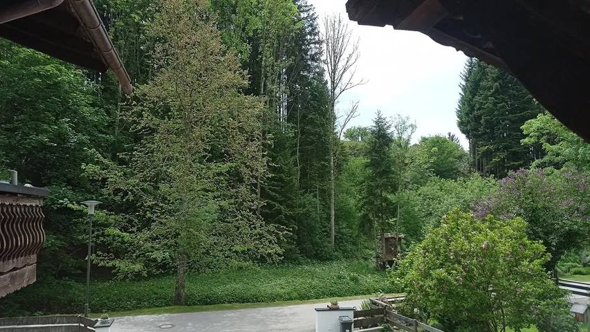 Ferienwohnung für 2 Personen, mit Garten in Wieskirche - 2