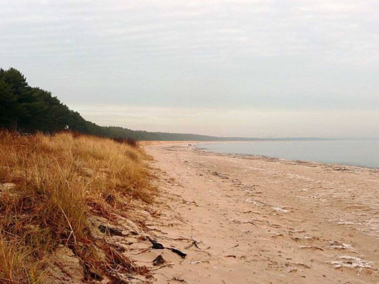 Ganze Ferienwohnung, Rügen-Fewo 230 - Fewo links in Thiessow, Mönchgut
