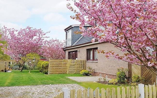 Ganze Ferienwohnung, Haus Pellworm - 2-Raum-Fewo 3211 - 1 in Nordfriesische Inseln (Schleswig-Holstein) (Schleswig-Holstein), Wittdün