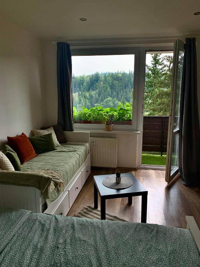 Apartament wakacyjny dla 4 osób, z widok i balkon, zwierzęta dozwolone w Jańskie Łaźnie