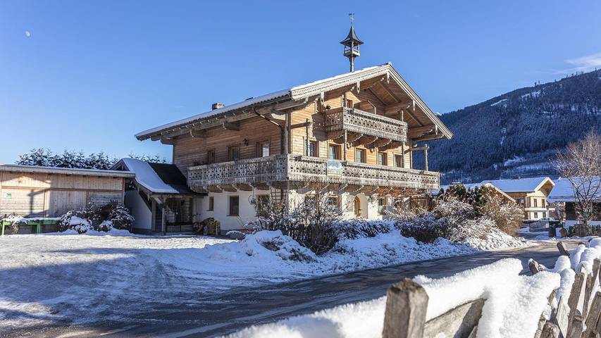 Ferienwohnung für 4 Personen, mit Balkon, mit Haustier in Österreich - 2