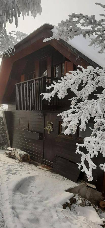 Chalet pour 8 personnes, avec piscine et vue ainsi que jardin et vue sur le lac à Thollon-les-Mémises - 4