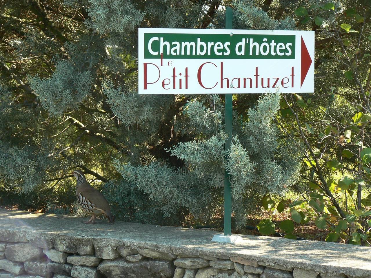 Le Petit Chantuzet - Chambre Jardin in Saint-Donat-sur-l'Herbasse, Région de Valence