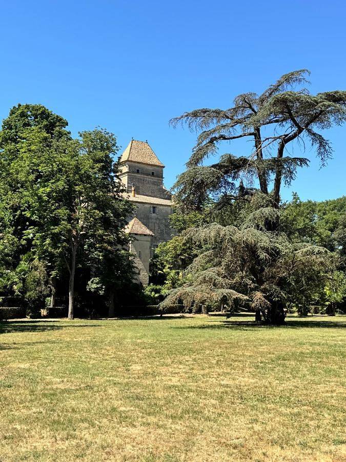 Domaine de Ribaute in Lieuran-lès-Béziers, Côte méditerranéenne (France)