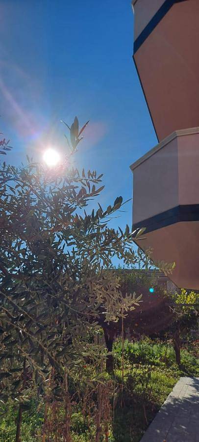 Appartement de vacances pour 2 personnes, avec Terrasse ainsi que Jardin et Vue dans Brancaleone-Marina