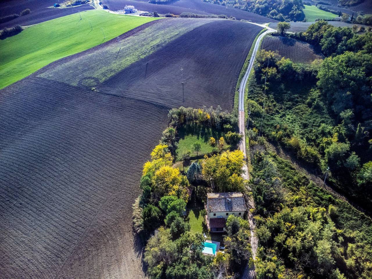 Licht unter den Buchen, Marche Urlaub, privater Pool in Montemaggiore al Metauro, Colli al Metauro