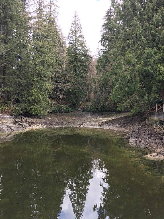 Entspannen Sie sich oder erkunden Sie den Wald und das Meer im atemberaubenden Belcarra, Metro Vancouver, Bc in Belcarra, British-Columbia