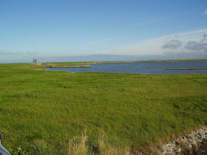 Ferienhaus für 12 Personen, mit Sauna und Garten, kinderfreundlich in Dornum - 3
