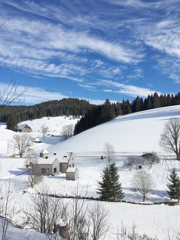 Ferienhaus am früheren Seilerhansenhof - Ferienhaus am früheren Seilerhansenhof, 100qm, 2 Schlafzimmer, max. 4 Personen in Furtwangen, Mittlerer Schwarzwald