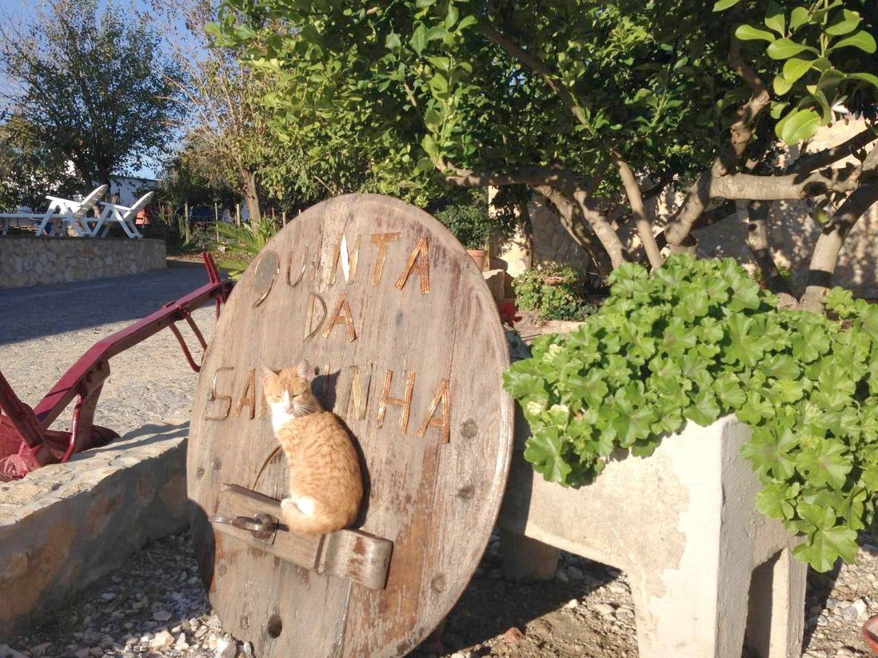 Quinta da Sardinha in São Brás e São Lourenço, Elvas