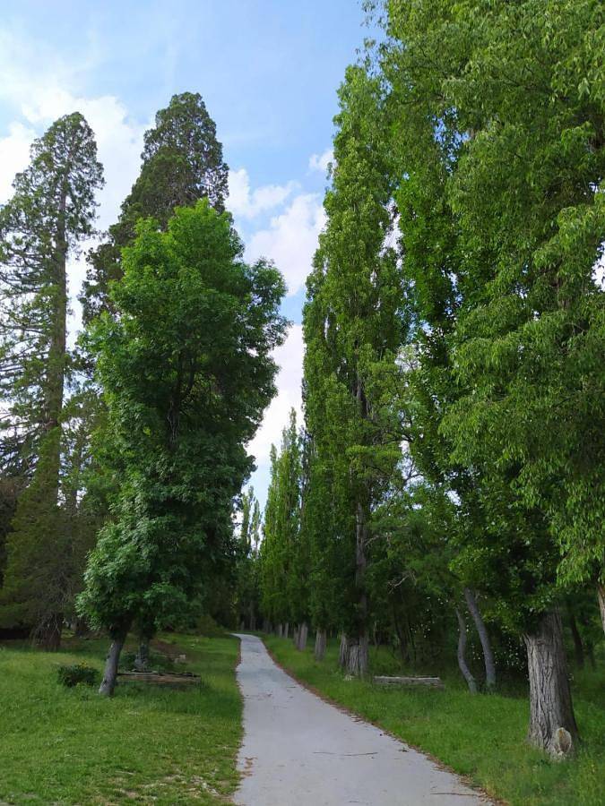 Chalet para 5 personas, con piscina además de vistas y jardín en Huéscar - 2