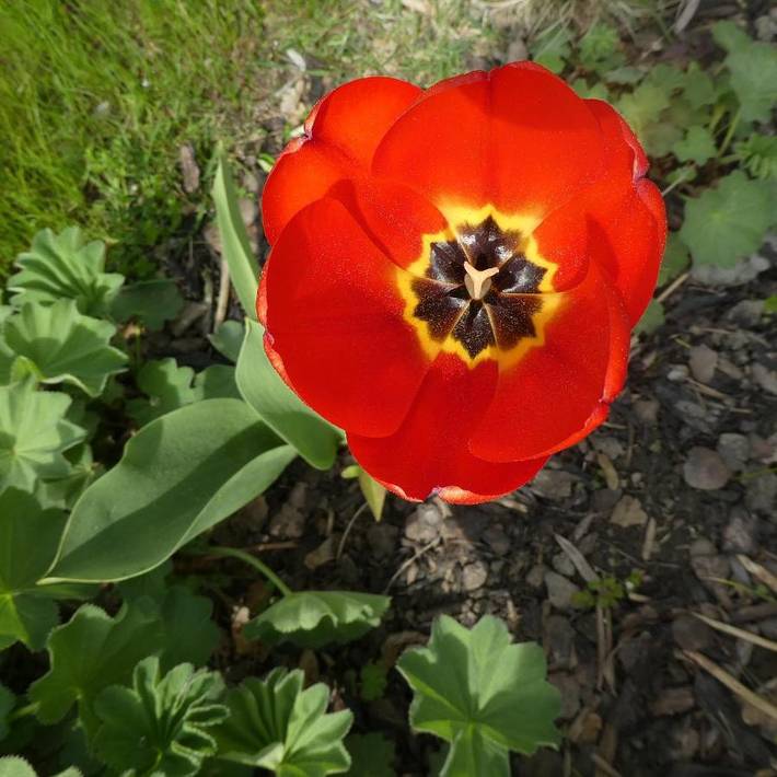 Bungalow für 2 Personen, mit Garten und Ausblick sowie Terrasse in der Oberpfalz - 4