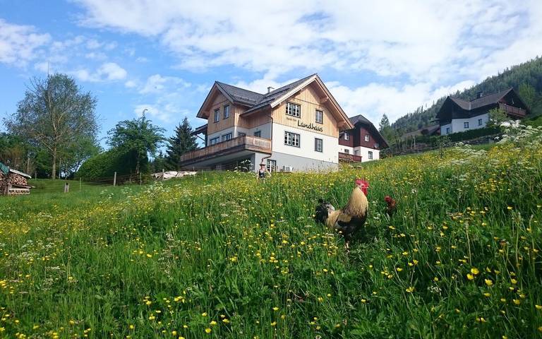 Bauernhaus für 3 Personen, mit Ausblick und Garten, kinderfreundlich - 1