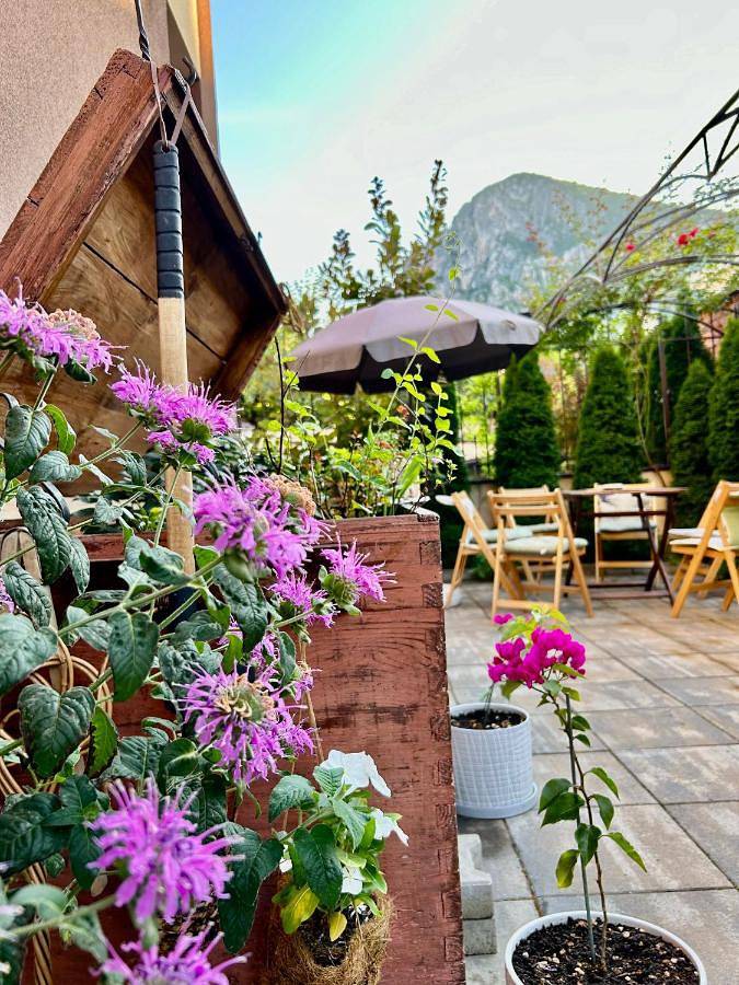 Appartement entier, Comfort Luxury Apartments in Vratsa, Balkan Mountains