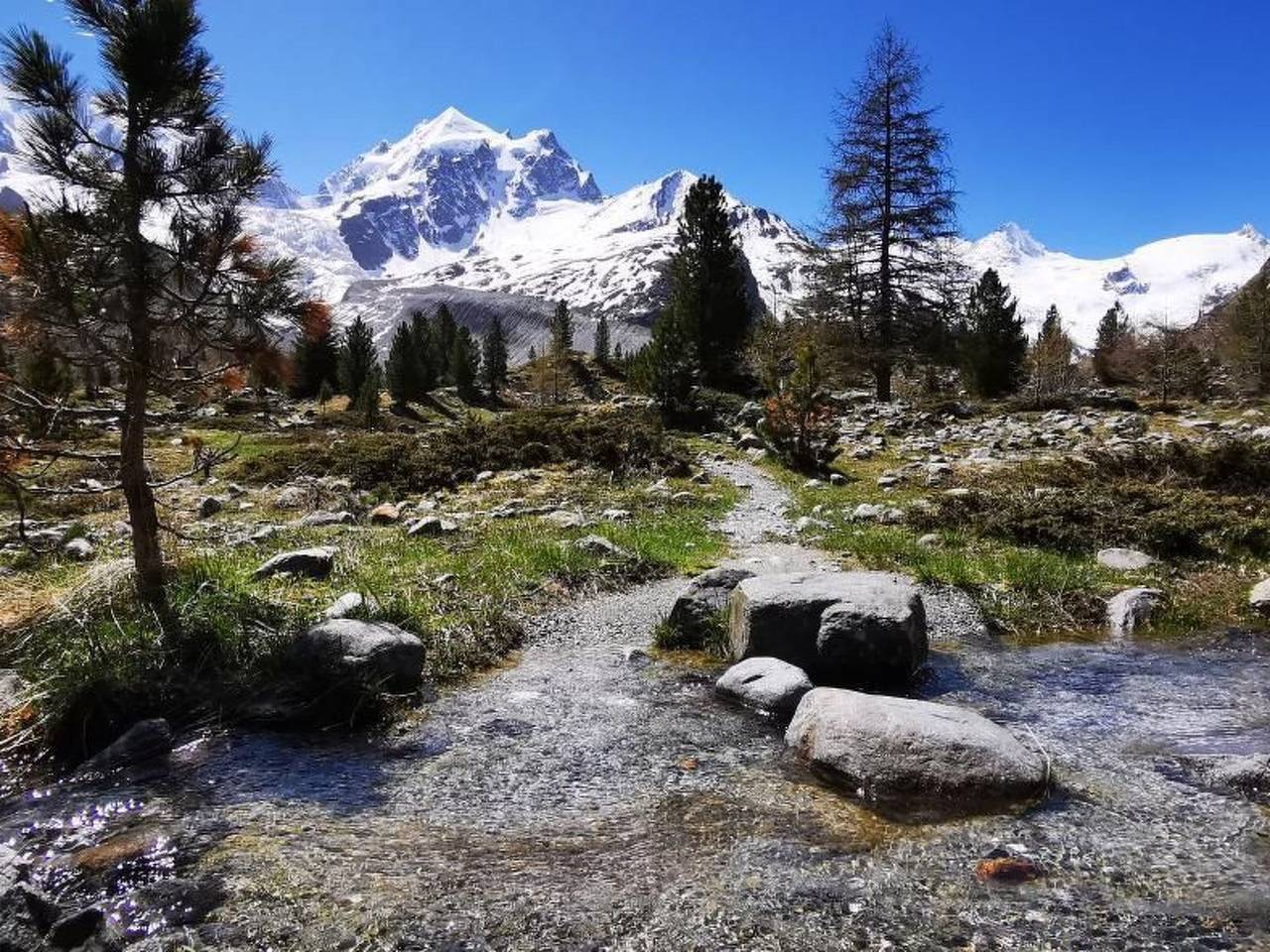 Geheel appartement, Via charels sur 8 in Bever, Oberengadin