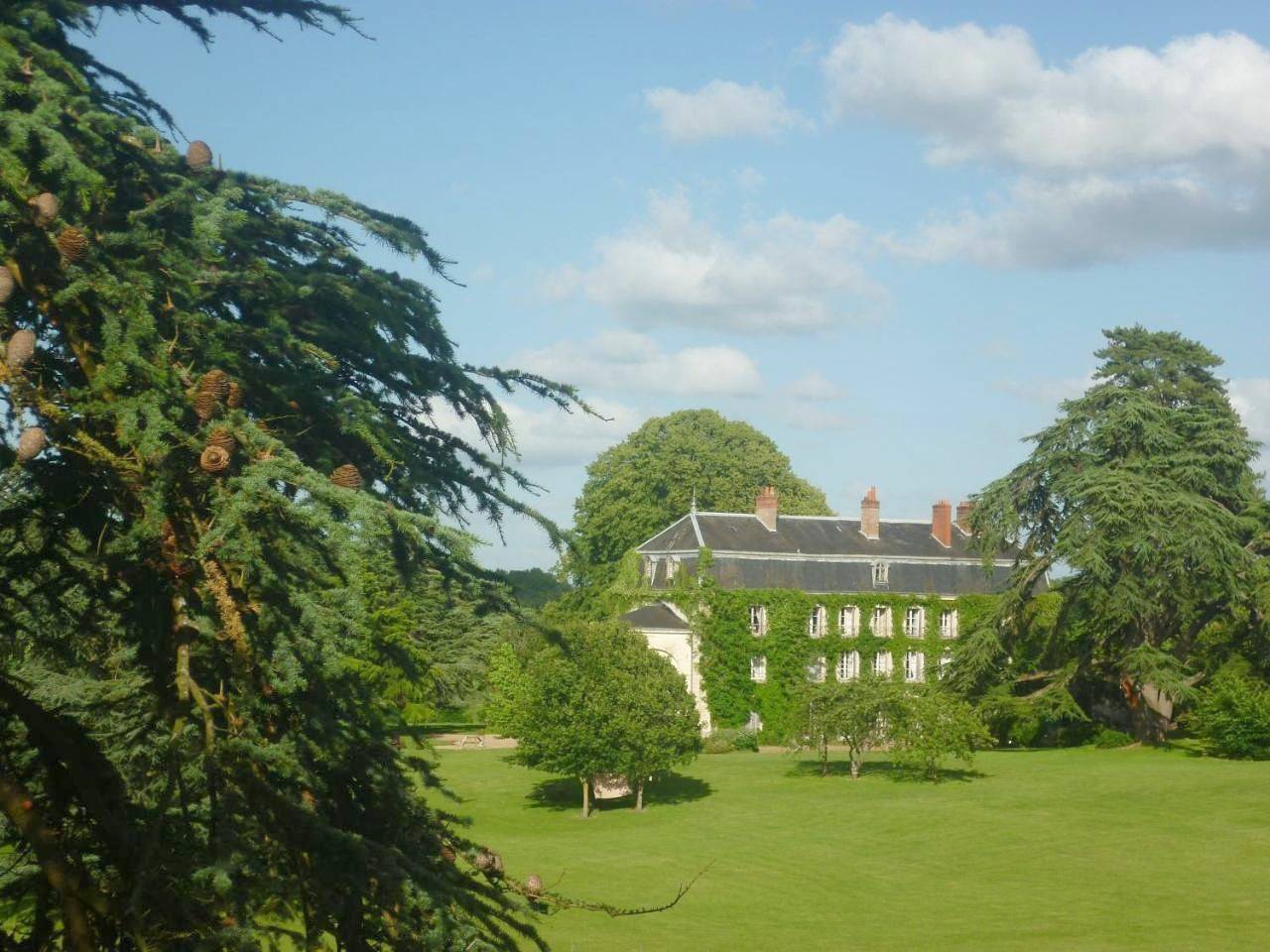Bed and Breakfast - Château du Vau in Ballan-Miré, Région de Tours