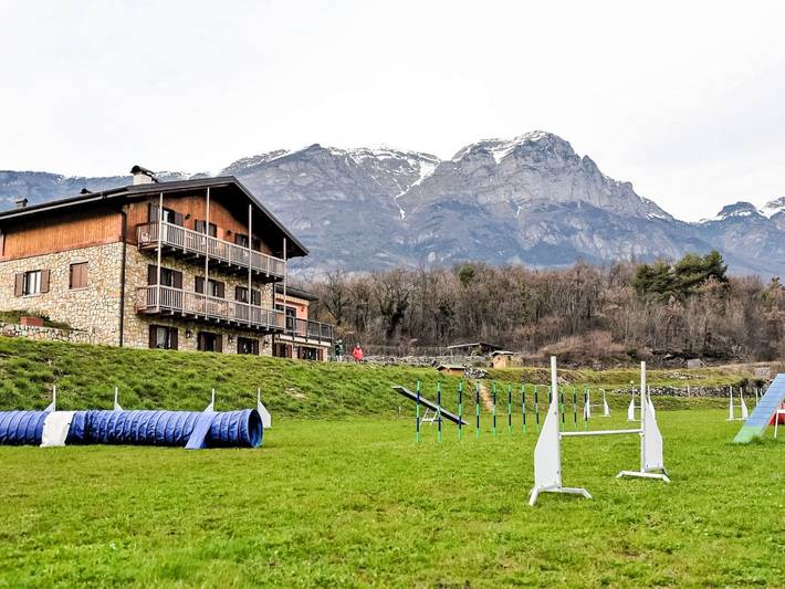 Ferienwohnung für 4 Personen, mit Ausblick und Terrasse sowie Garten, mit Haustier - 1