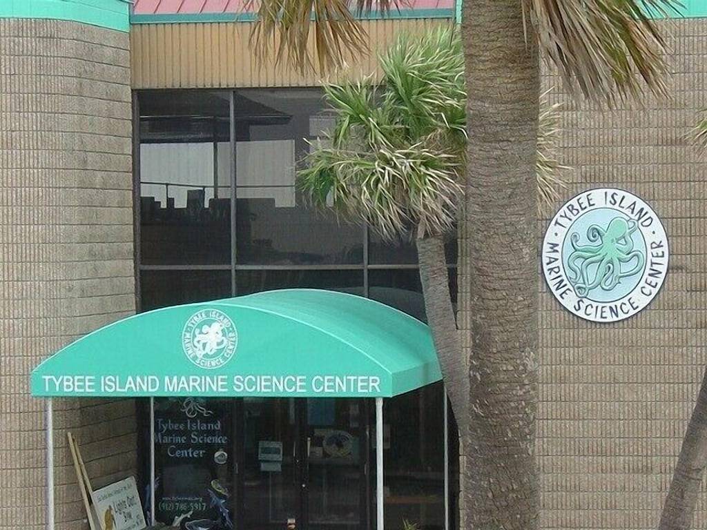 Ganze Wohnung, Erschwingliches Strandapartment mit * Schlafzahlbett * !!!! in Tybee Island, Chatham County