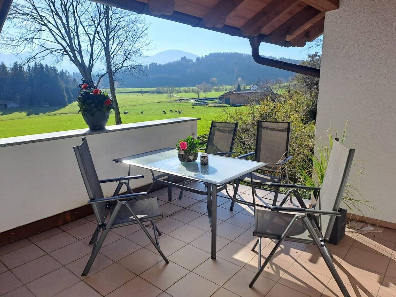 Ganze Ferienwohnung, Fewo Alpenblick im Haus Wiedemann - Ferienwohnung Alpenblick in Eisenberg, Bayerisch Schwaben