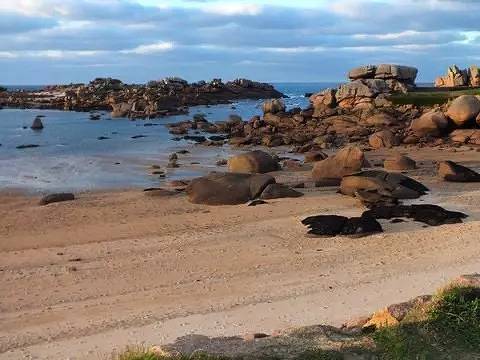 Mobil home pour 5 personnes dans Plage De La Banche Binic - 2