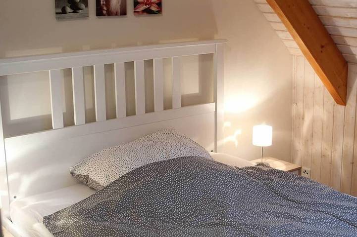 Ferienhaus für 18 Personen, mit Garten und Whirlpool sowie Sauna, mit Haustier in Naturpark Wildeshauser Geest - 4