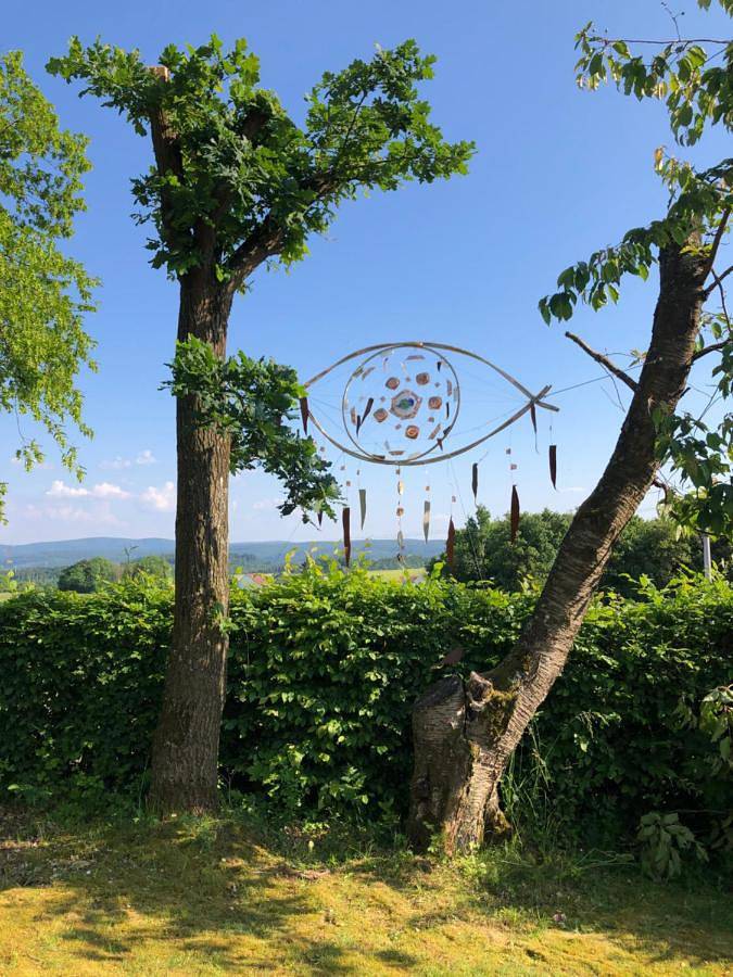 Gästehaus Natur Schlafstrandkorb Sternenfänger in Marienhagen, Vöhl